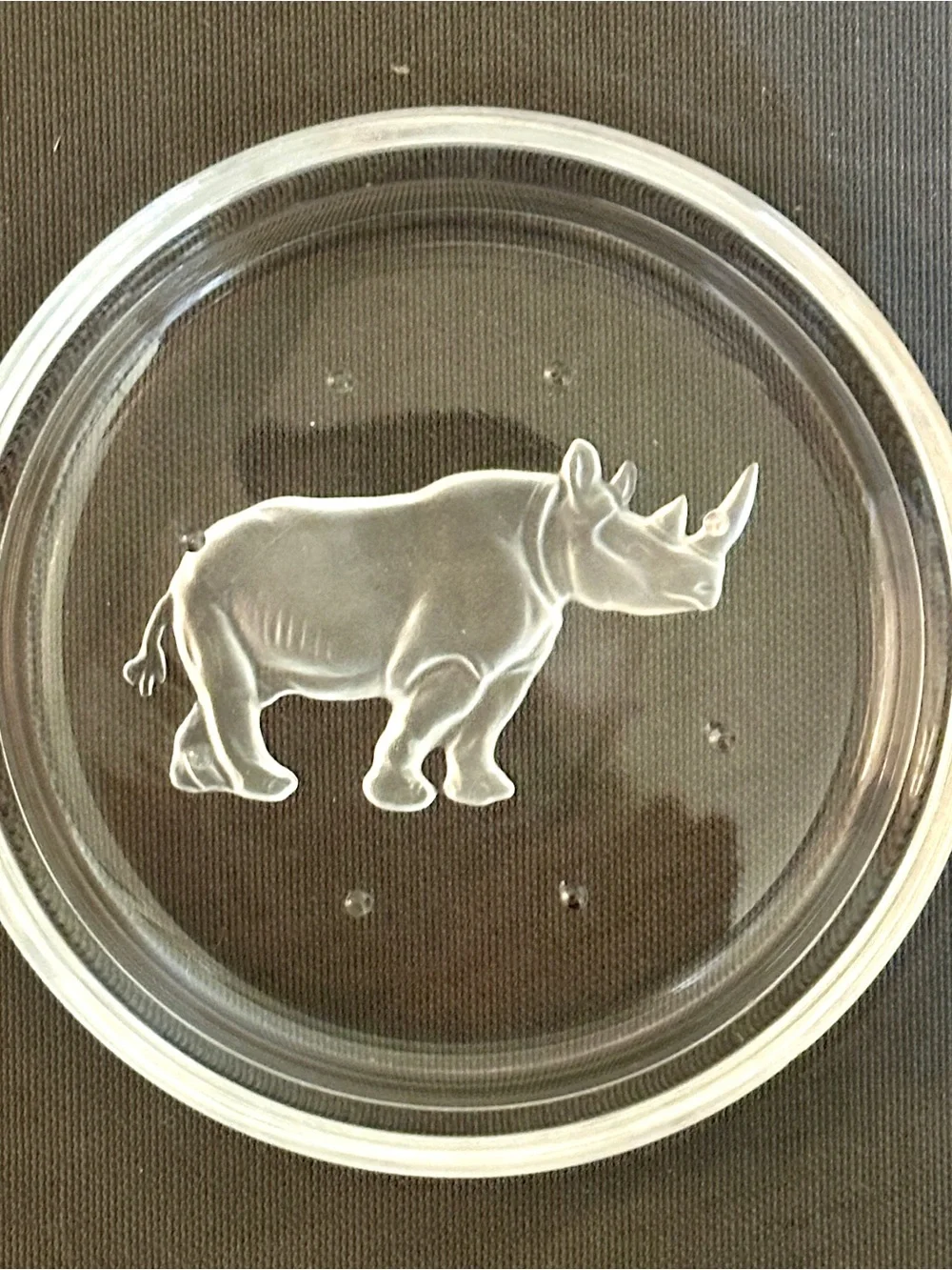 Val St Lambert Crystal Coasters Set 6 Endangered Wildlife Animals Frosted VTG
